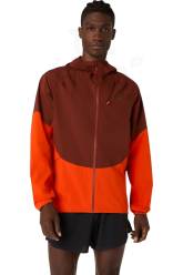 Asics Metarun Waterproof Herren