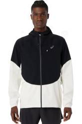 Asics Metarun Waterproof Herren