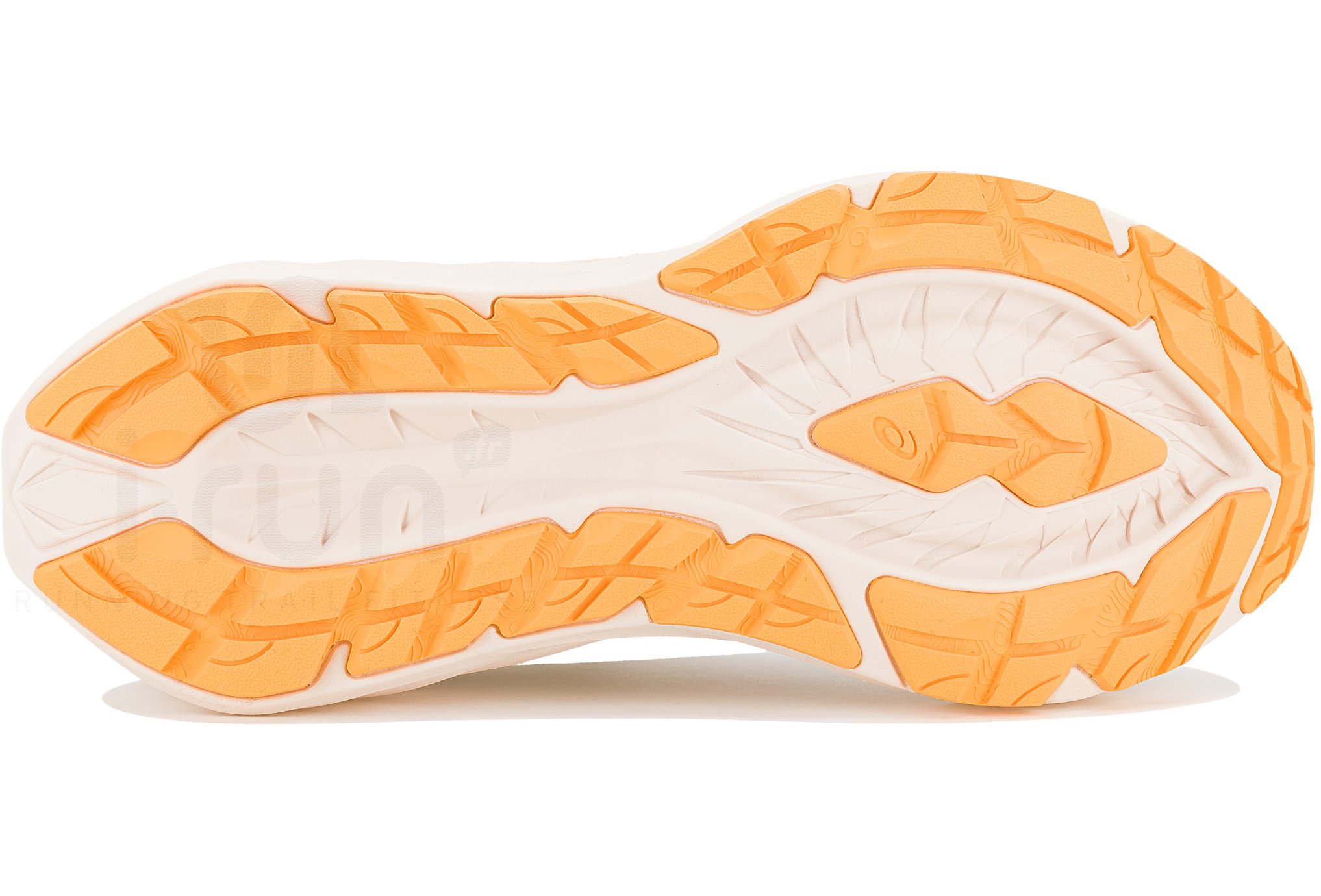 Asics Novablast 4 TR W Nature Bathing