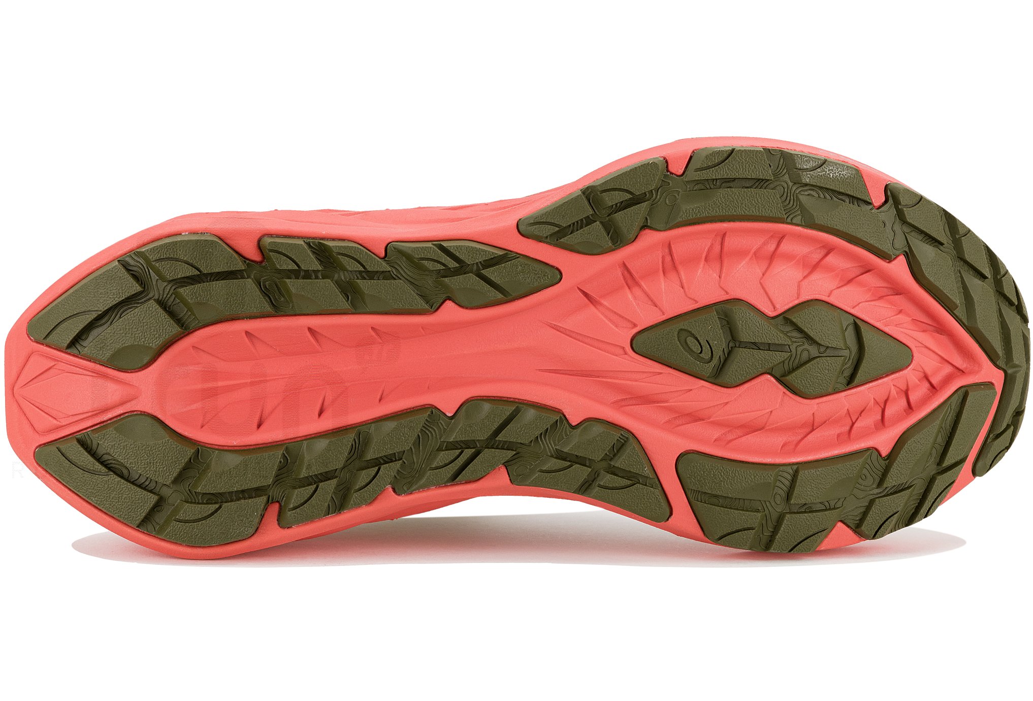 Asics Novablast 4 TR  Nature Bathing