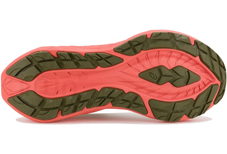 Asics Novablast 4 TR  Nature Bathing