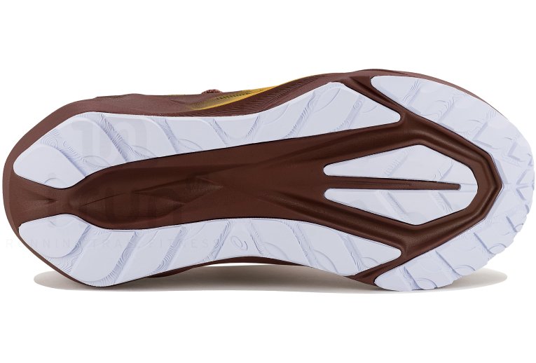 Asics Novablast 5 TR Nature Bathing
