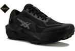 Asics Novablast 6 Gore-Tex Herren