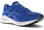 Asics RoadHawk FF GS