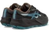 Asics Trabuco 14 Gore-Tex