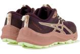 Asics Trabuco Terra 3