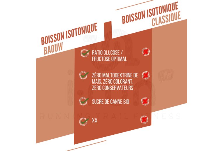 Baouw Boisson isotonique P�che - Romarin 585 g