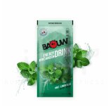 Baouw bebida isot�nica Baouw Menta - Melisa 45 g