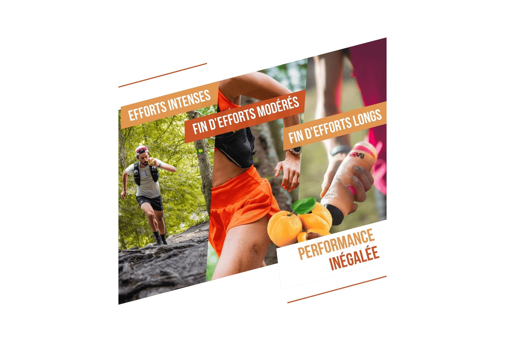 Baouw Organic natural gel - Apricot - Thyme