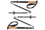 Black Diamond Alpine FLZ Poles