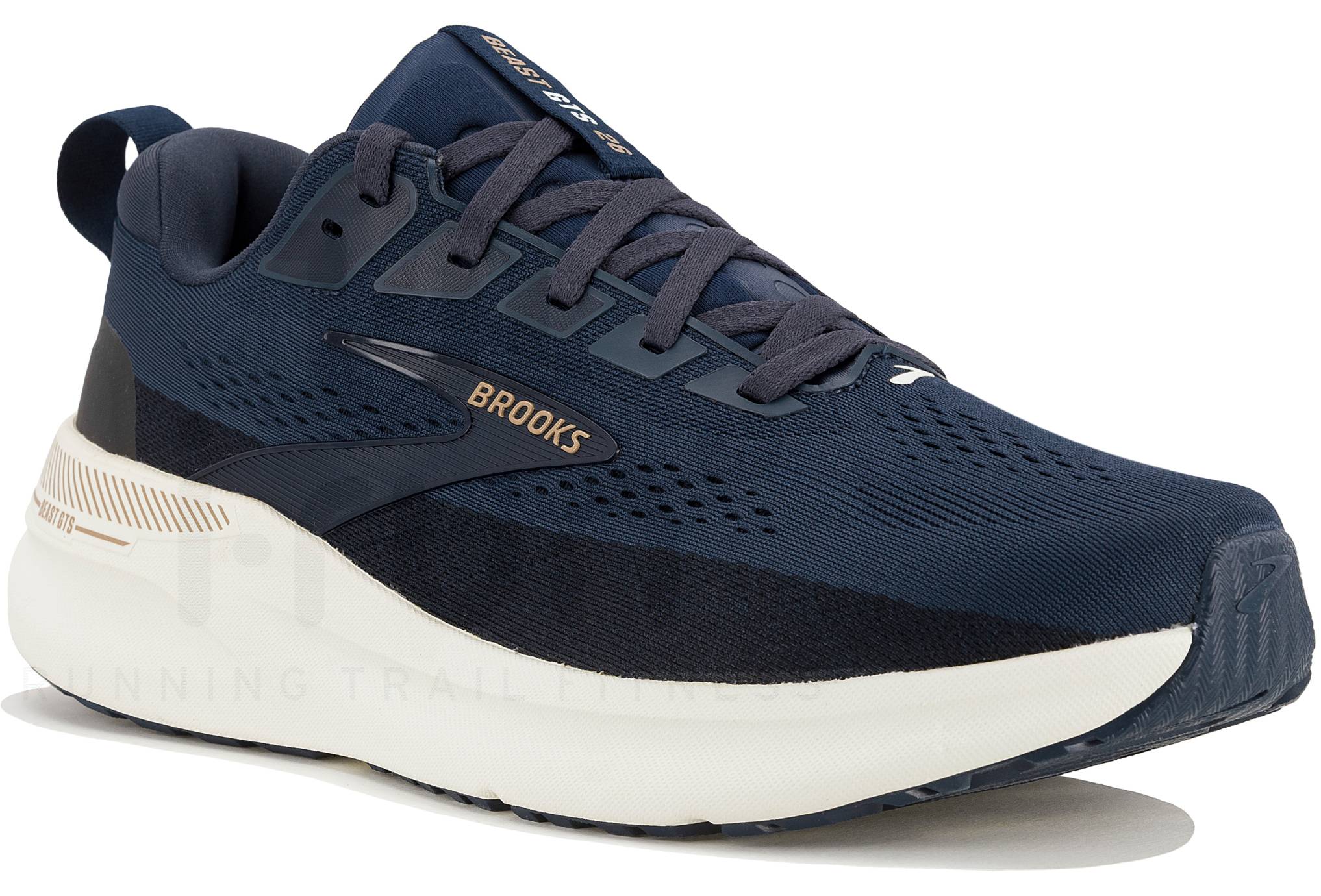 Brooks Beast GTS 26