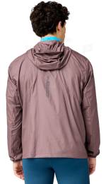 Brooks Canopy 2.0