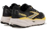 Brooks Cascadia 19