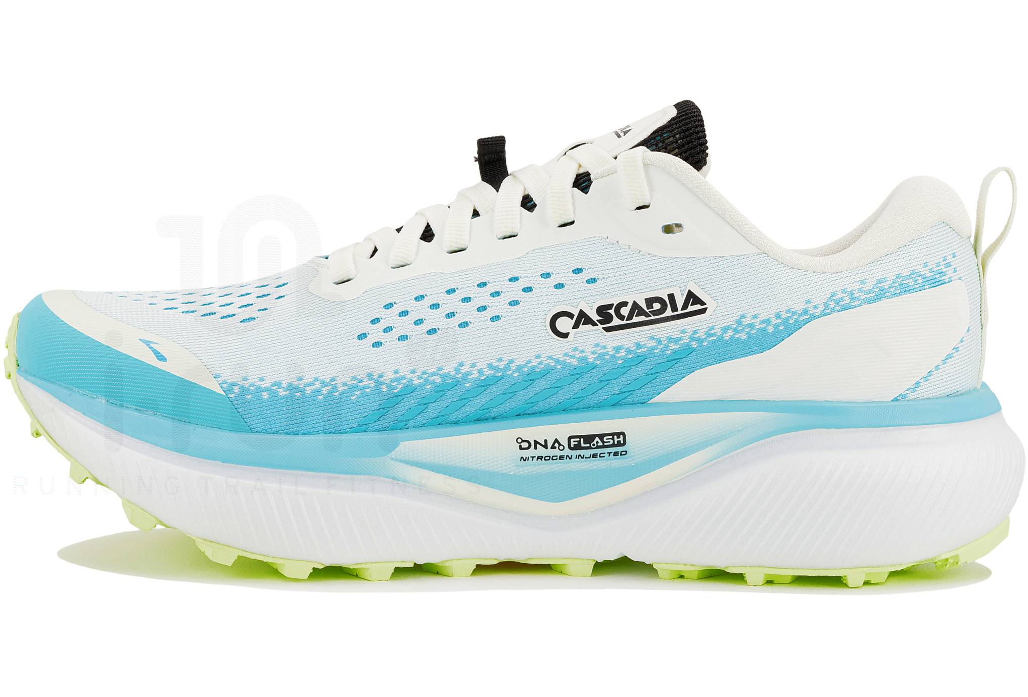 Brooks Cascadia 20