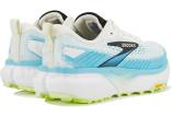 Brooks Cascadia 20