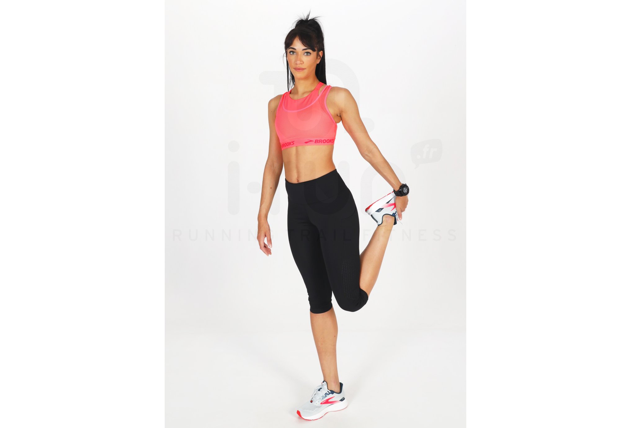 Brooks Drive Mesh