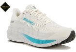 Brooks Ghost 17 Gore-Tex