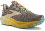 Brooks Ghost Trail