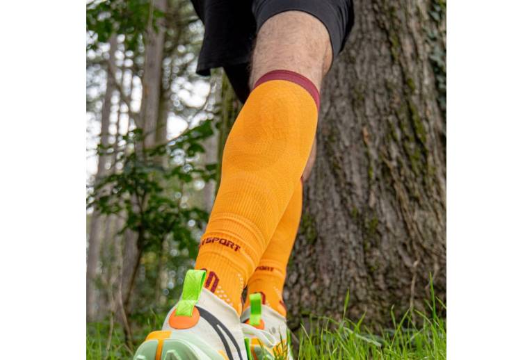 BV Sport Booster Elite Evolution