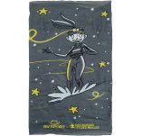 BV Sport Foulard original DBDB Night Fever