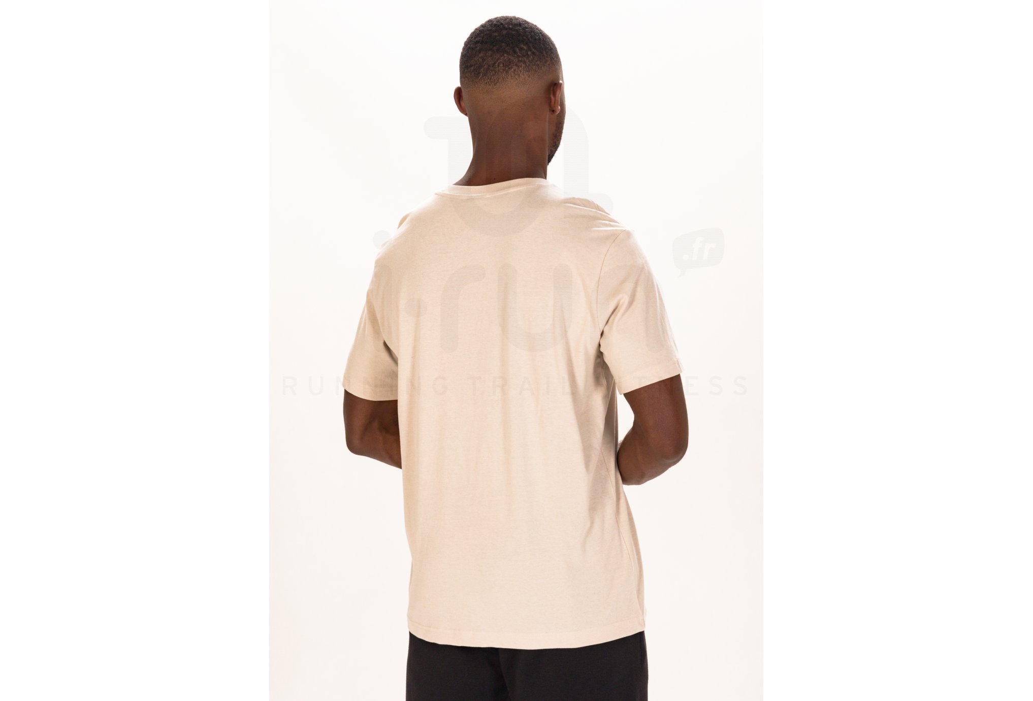 Champion Crewneck Herren