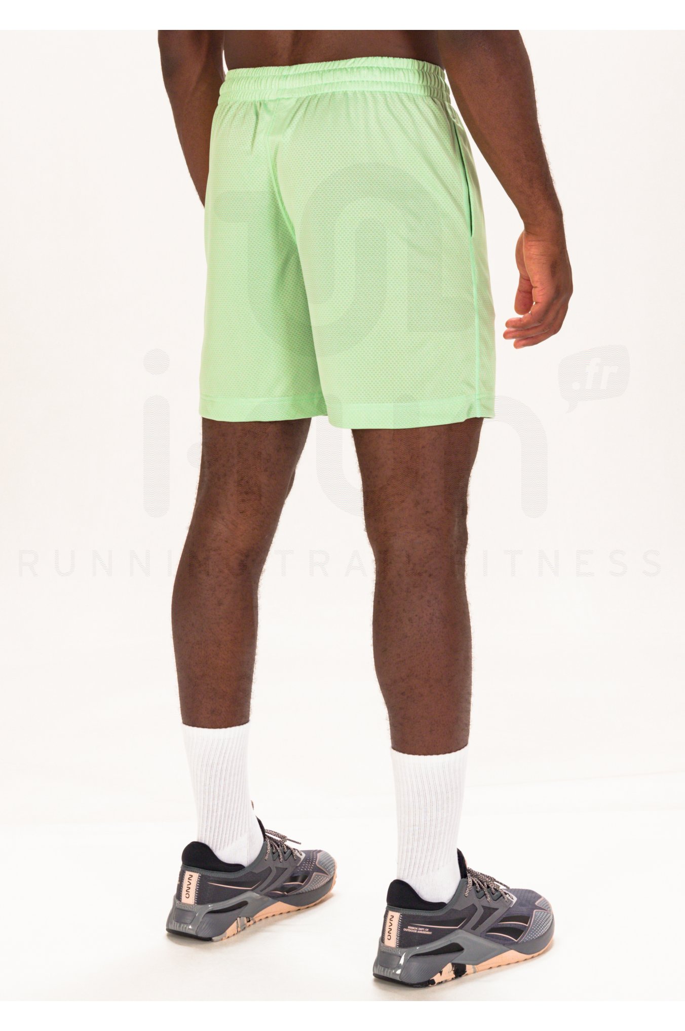 Champion Legacy M 