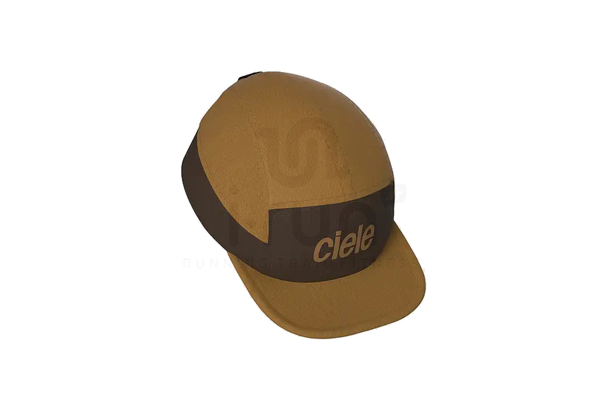 Ciele ALZCap Standard Corp Small
