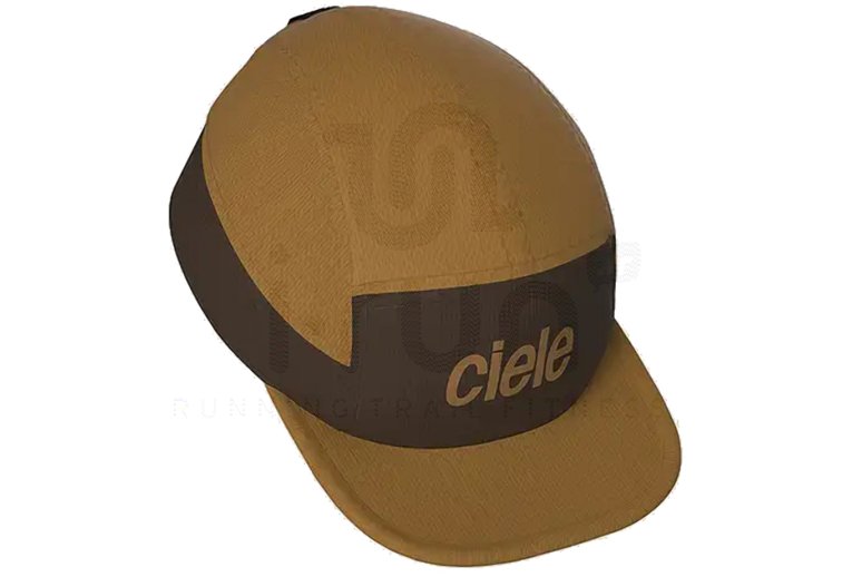 Ciele ALZCap Standard Corp Small 