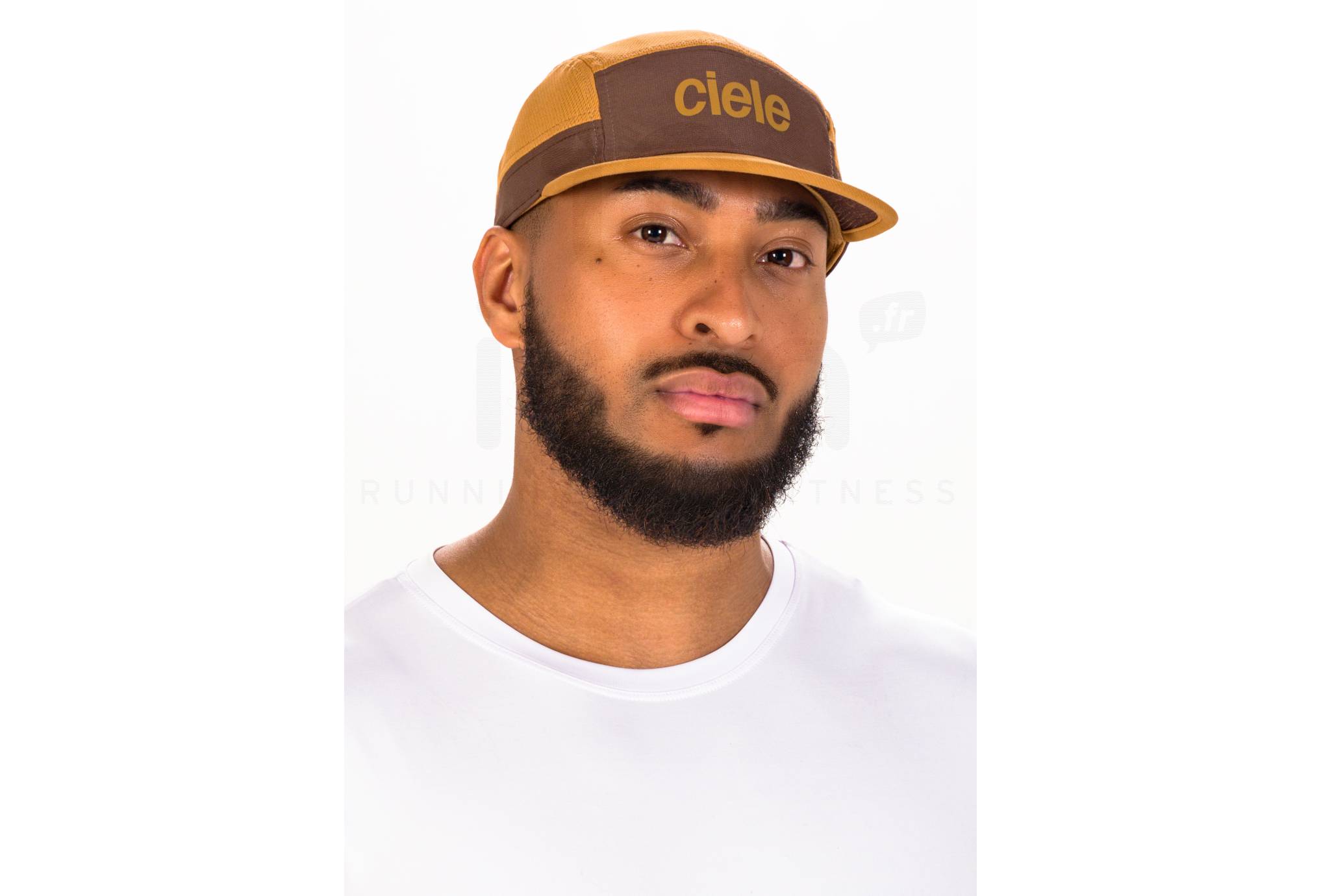 Ciele ALZCap Standard Corp Small