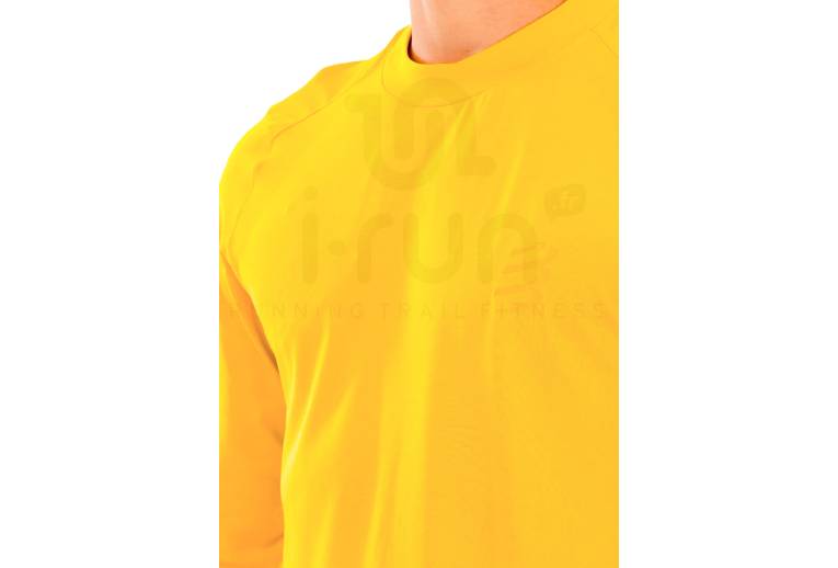 Compressport Performance M