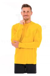 Compressport Performance