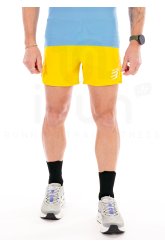 Compressport Performance