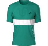 Compressport Performance M