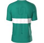 Compressport Performance M