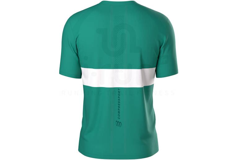 Compressport Performance M