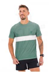 Compressport Performance
