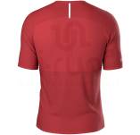 Compressport Pro Racing M