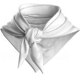 Compressport Stayfresh Ice Bandana