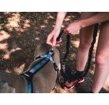 Djoring arn�s para perro Djore Pro
