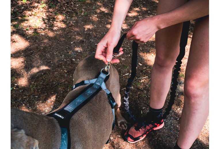 Djoring Djore Pro Harness