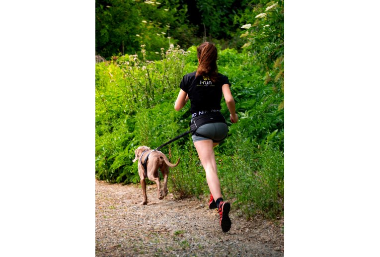 Djoring Harnais Djore Sport