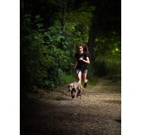 Djoring arn�s semilargo para perro Djore Sport