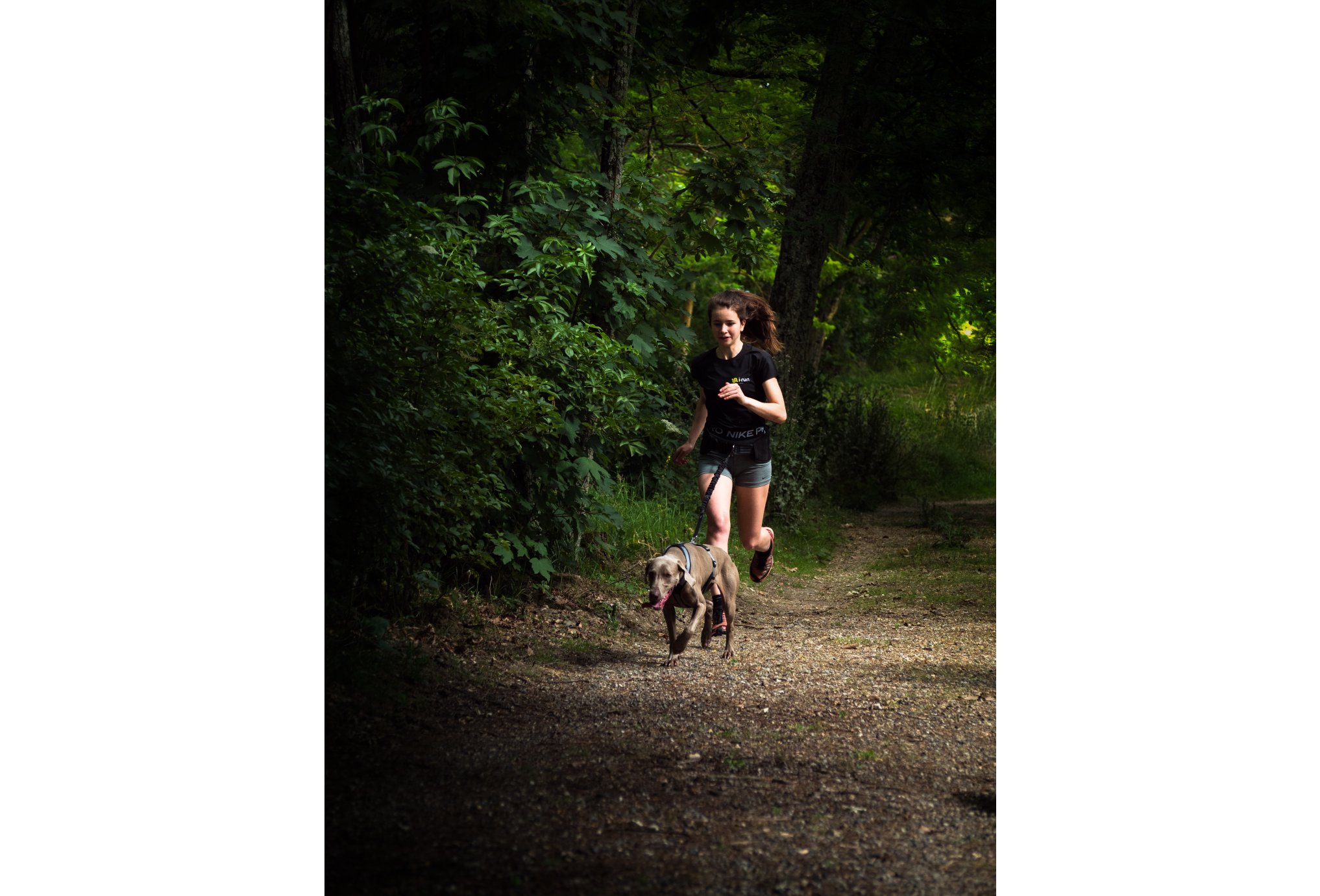 Djoring Harnais Djore Sport