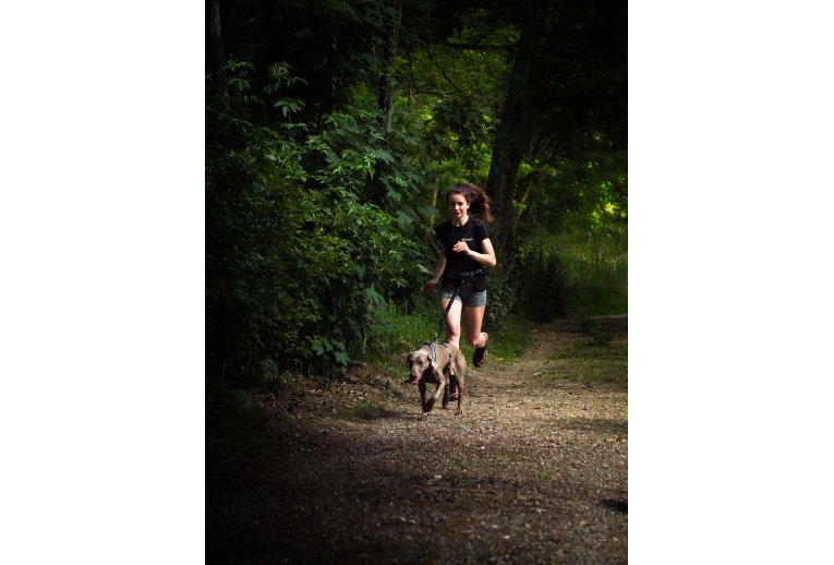 Djoring Harnais Djore Sport