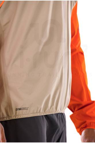 Dynafit Alpine 3L 