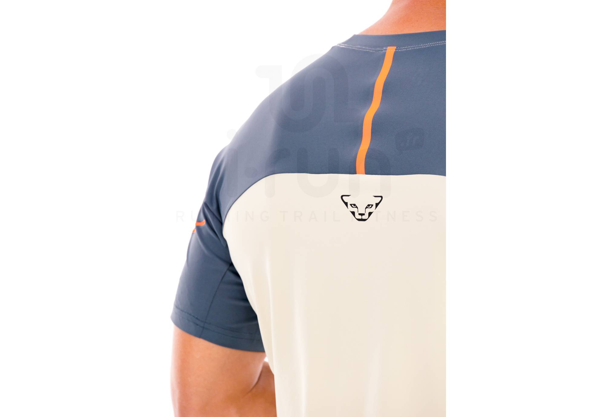 Dynafit Alpine Pro