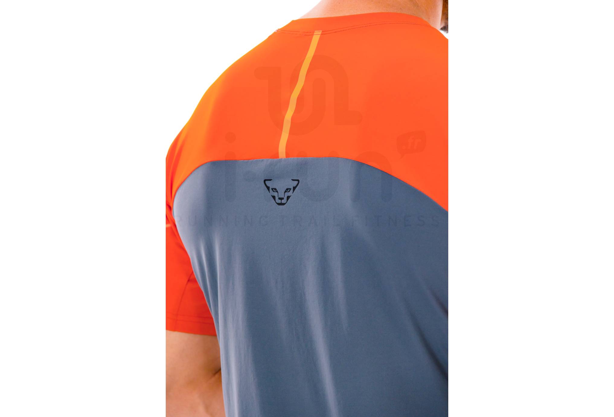 Dynafit Alpine Pro