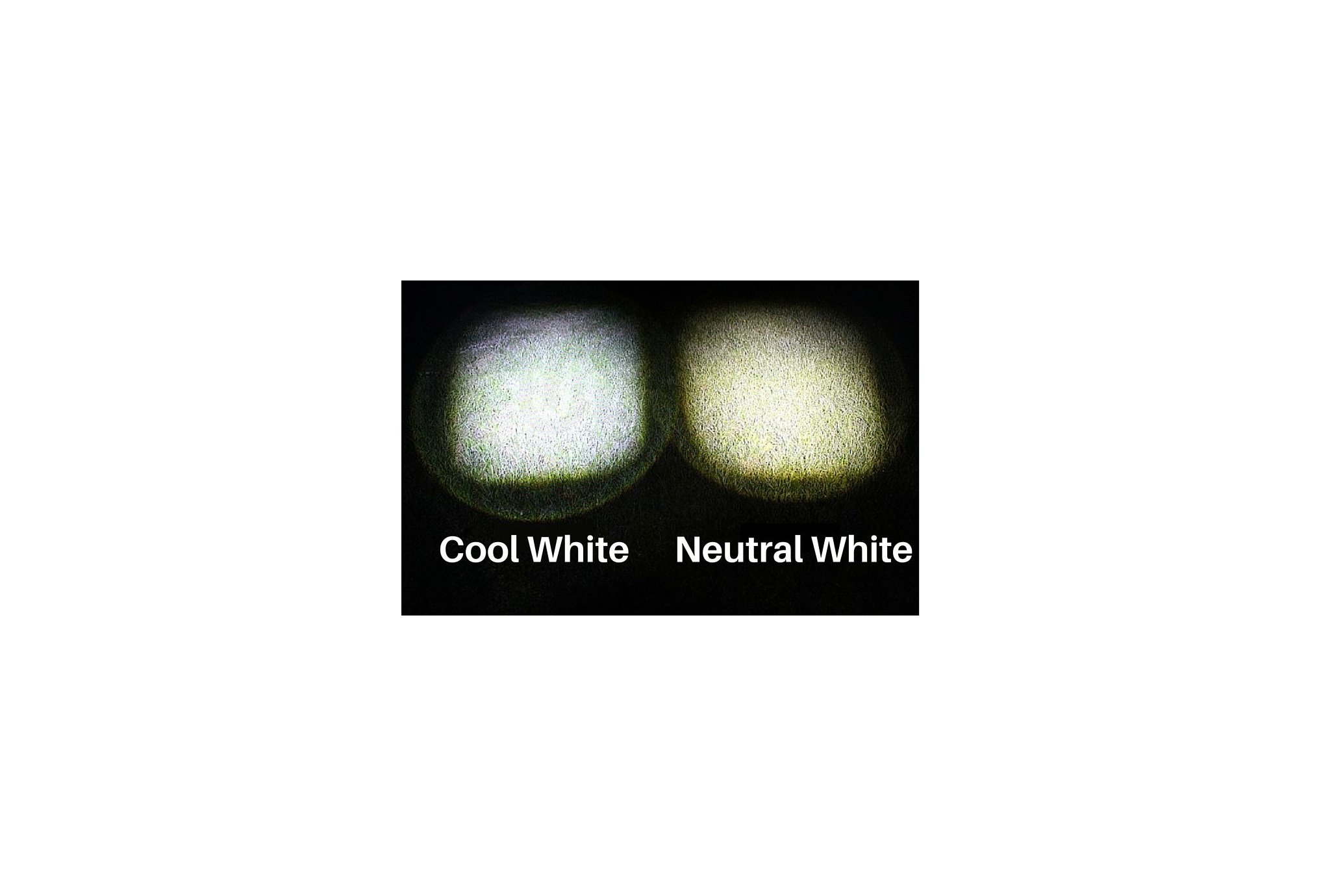 Ferei Linterna frontal HL40AA Cool White