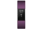 Fitbit Pulsera de actividad Charge 2-S