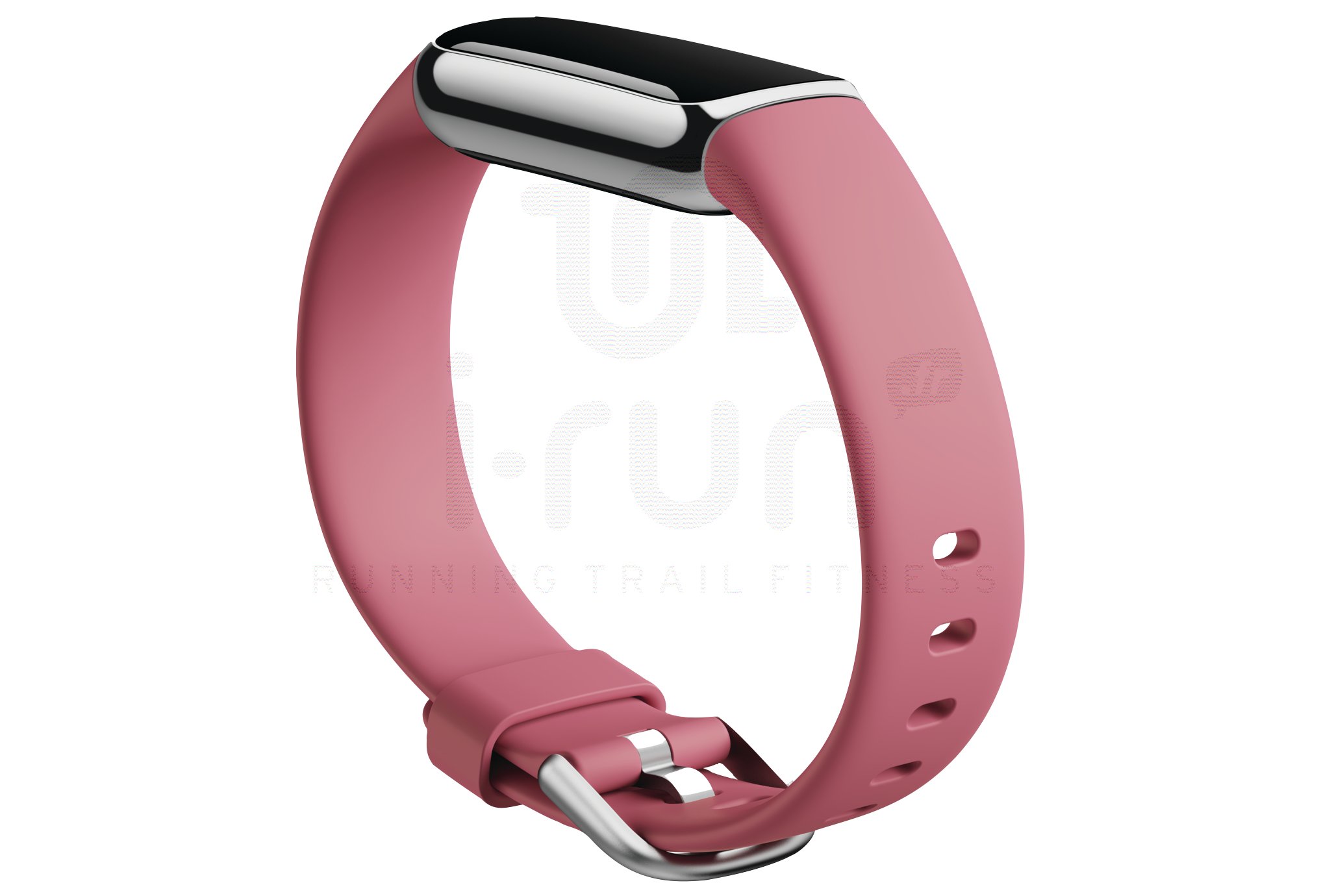 Fitbit Fitbit Luxus